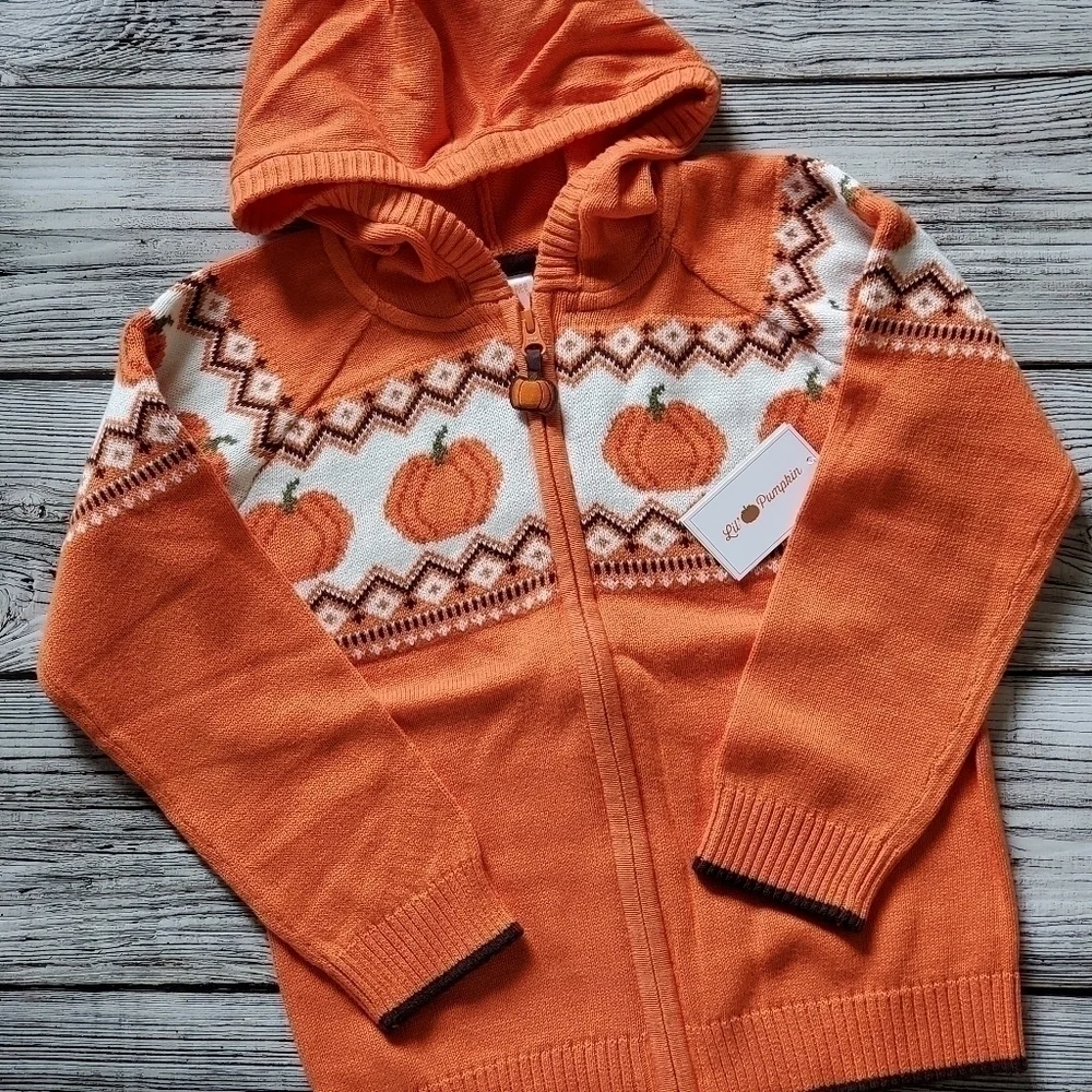 Gymboree Orange Pumpkin Sweater Lil's Pumpkin Collection Hooded Zip Up Sweater